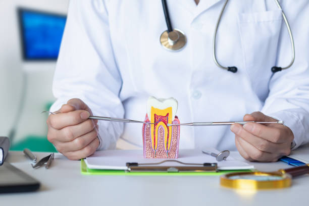 Best Same-Day Emergency Dentist in Bridgeport, NE